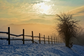 Winter -Nebel- Romantik/11678008
